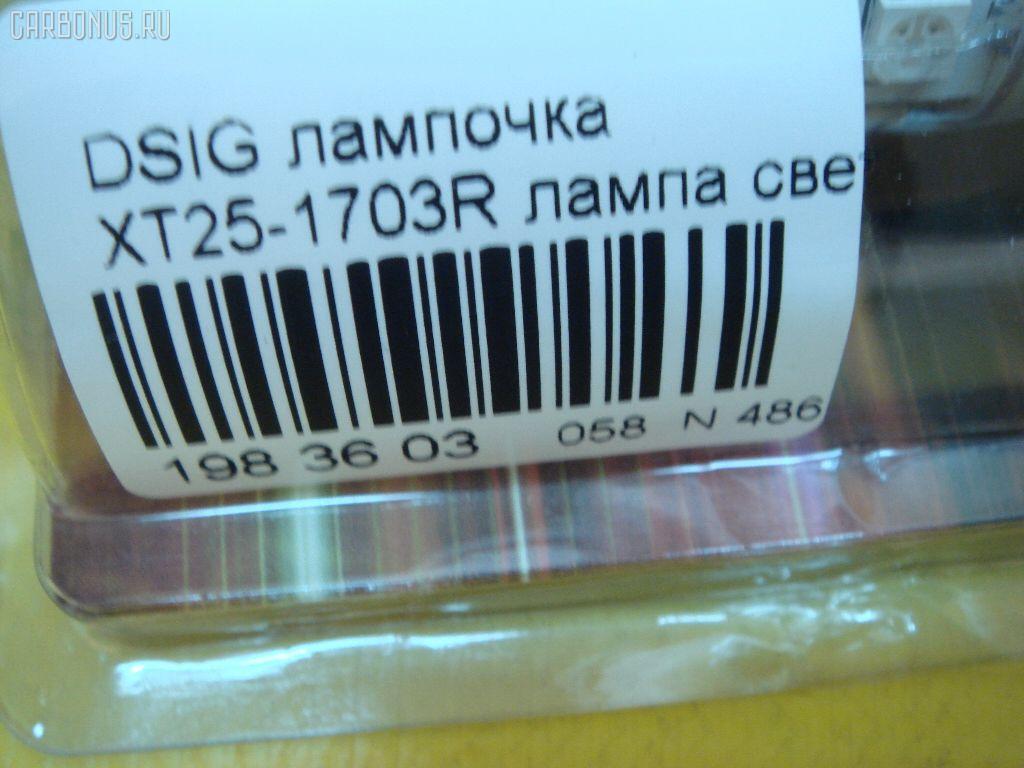 Лампочка XT25-1703R XELITE XT25-1703R,4524-R на Dsign Фото 2