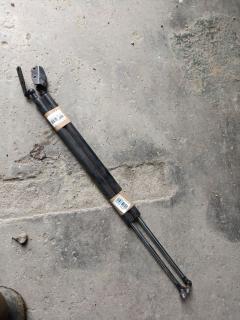 Амортизатор двери на Nissan Ad Expert VJY12 Фото 3