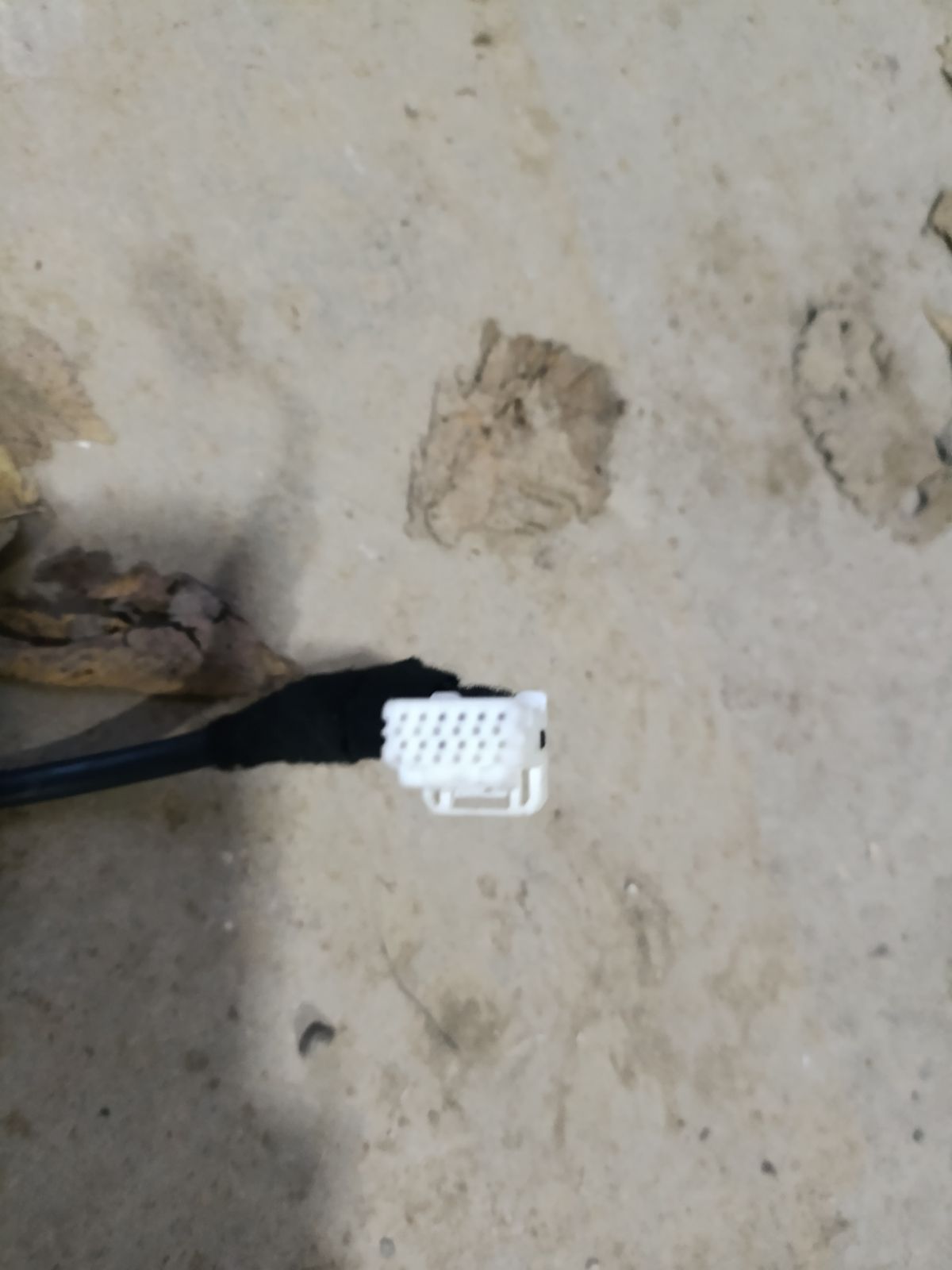 Зеркало двери боковой на Nissan Note E12 Фото 11