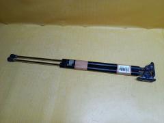 Амортизатор двери на Toyota Succeed NCP160V