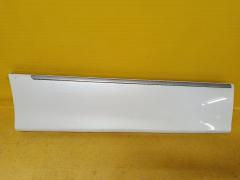 Молдинг на дверь 82871-1JB0A, 82870-1JB0A, 80971-1JB0A, 80870-1JB0A на Nissan Elgrand TE52 Фото 12
