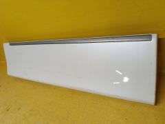 Молдинг на дверь 82871-1JB0A, 82870-1JB0A, 80971-1JB0A, 80870-1JB0A на Nissan Elgrand TE52 Фото 13