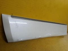 Молдинг на дверь 82871-1JB0A, 82870-1JB0A, 80971-1JB0A, 80870-1JB0A на Nissan Elgrand TE52 Фото 9