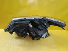 Фара 100-23009 100-23009 на Nissan Elgrand TE52 Фото 4
