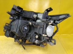 Фара 100-23009 100-23009 на Nissan Elgrand TE52 Фото 5