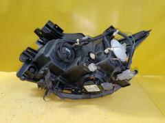 Фара 100-23009 100-23009 на Nissan Elgrand TE52 Фото 6