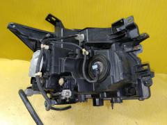 Фара 100-23009 100-23009 на Nissan Elgrand TE52 Фото 5