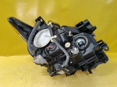 Фара 100-23009 100-23009 на Nissan Elgrand TE52 Фото 6