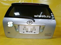 Дверь задняя 13-94 13-94 на Toyota Corolla Fielder NZE121G Фото 9