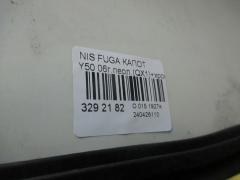 Капот F5100--EG0MM на Nissan Fuga Y50 Фото 3