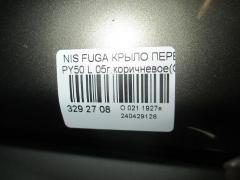 Крыло переднее 63101-EG030 на Nissan Fuga PY50 Фото 2