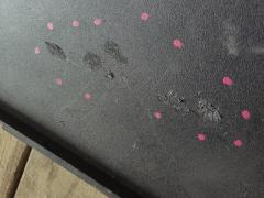 Обшивка багажника 8J8863471 на Audi Tt 8J Фото 4