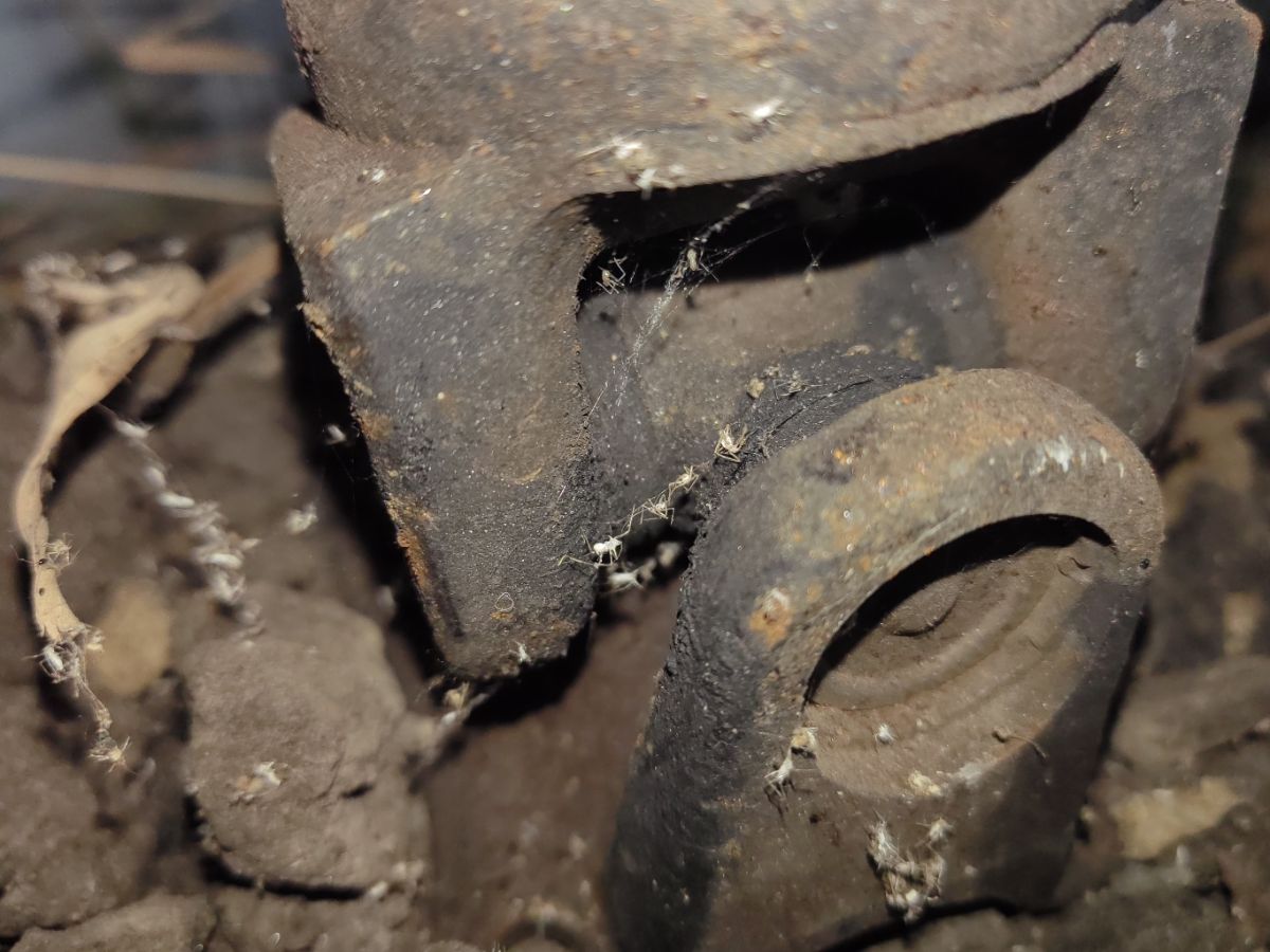 Кардан 27111AE101 на Subaru Legacy Wagon BH5 EJ202 Фото 8