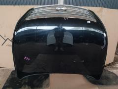 Капот на Nissan Teana J32 Фото 1