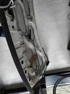 Капот F5100 CV0MM на Nissan Wingroad Y12 Фото 7