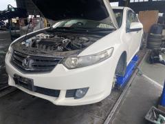 Фара P7566 на Honda Accord CU2 Фото 4