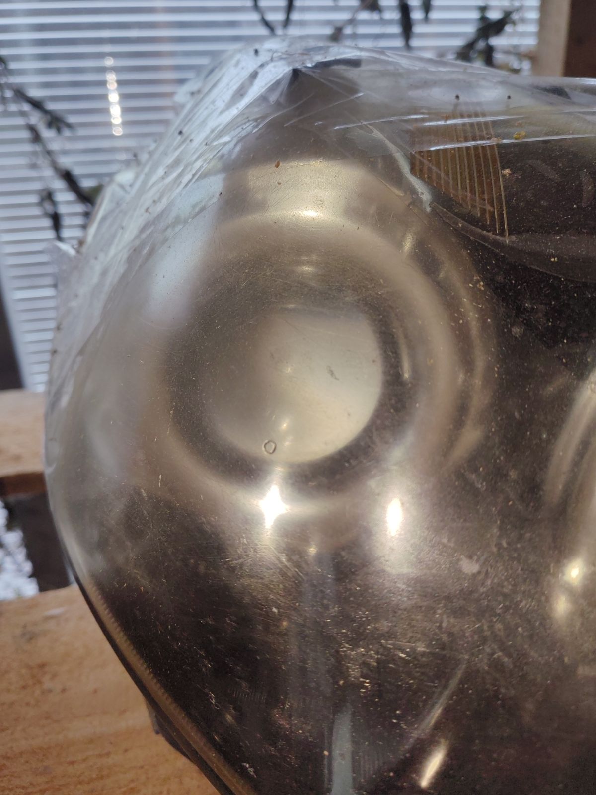 Фара 100-20061 100-20061 на Subaru Legacy Wagon BR9 Фото 6