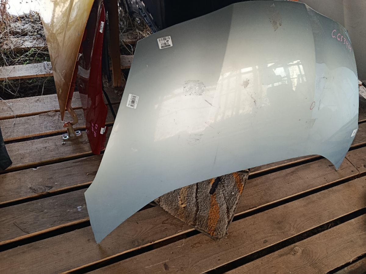 Капот на Honda Fit Shuttle GP2 Фото 3