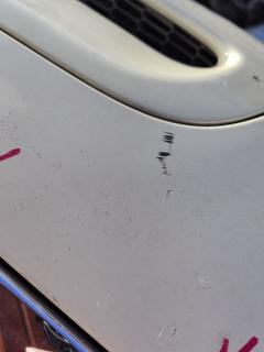Капот 41612754741, 41617318365 на Mini Cooper S R55-MM32 Фото 14