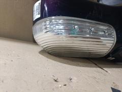 Зеркало двери боковой на Nissan Elgrand E51 Фото 4
