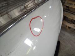 Капот на Nissan Teana J32 Фото 3