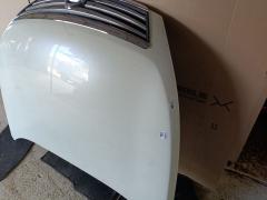 Капот на Nissan Teana J32 Фото 7