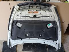 Капот на Nissan Teana J32 Фото 11