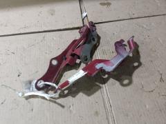 Крепление капота на Toyota Corolla Spacio ZZE124N 53410-13010  53420-13010