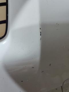 Бампер на Daihatsu Move LA100S Фото 2