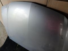 Капот на Honda Accord CL8 Фото 4