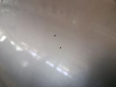 Капот на Nissan Nv200 VM20 Фото 11