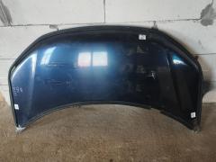 Капот на Honda Freed Spike GB3