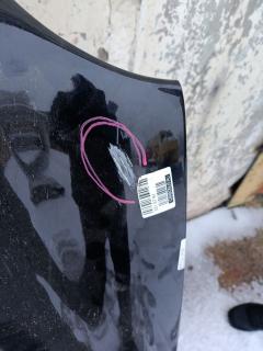 Капот A2108800357 на Mercedes-Benz E-Class W210.053 Фото 16