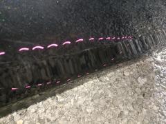 Дверь боковая на Nissan Teana L33 Фото 8