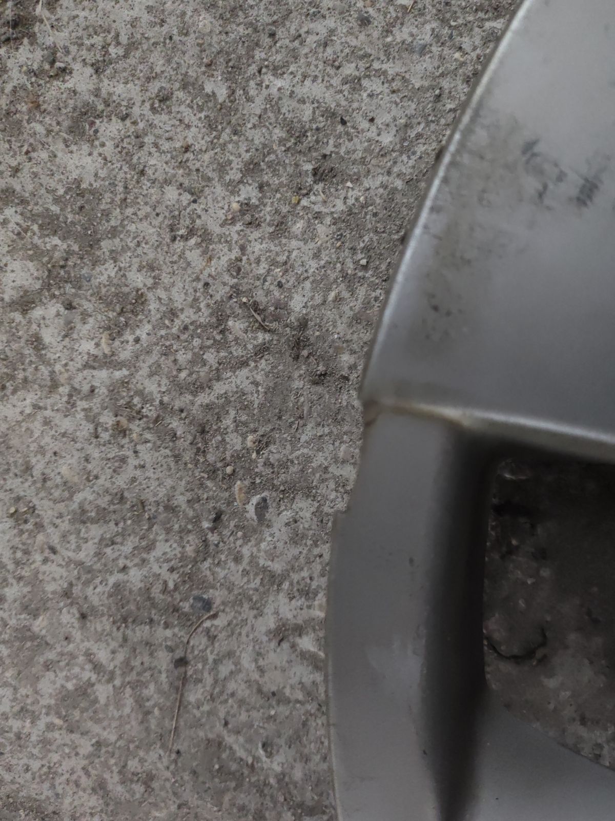 Колпак на Toyota Ipsum ACM26W Фото 7