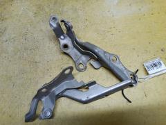 Крепление капота на Toyota Corolla Spacio NZE121N 53410-13010  53420-13010