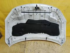 Капот F510M-3SBMJ на Nissan Sylphy TB17 Фото 2