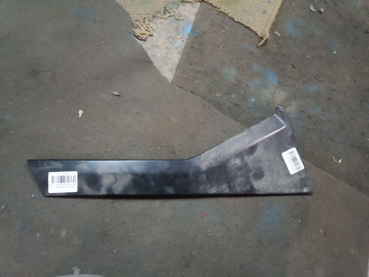 Молдинг на дверь на Honda Civic EU1 Фото 2