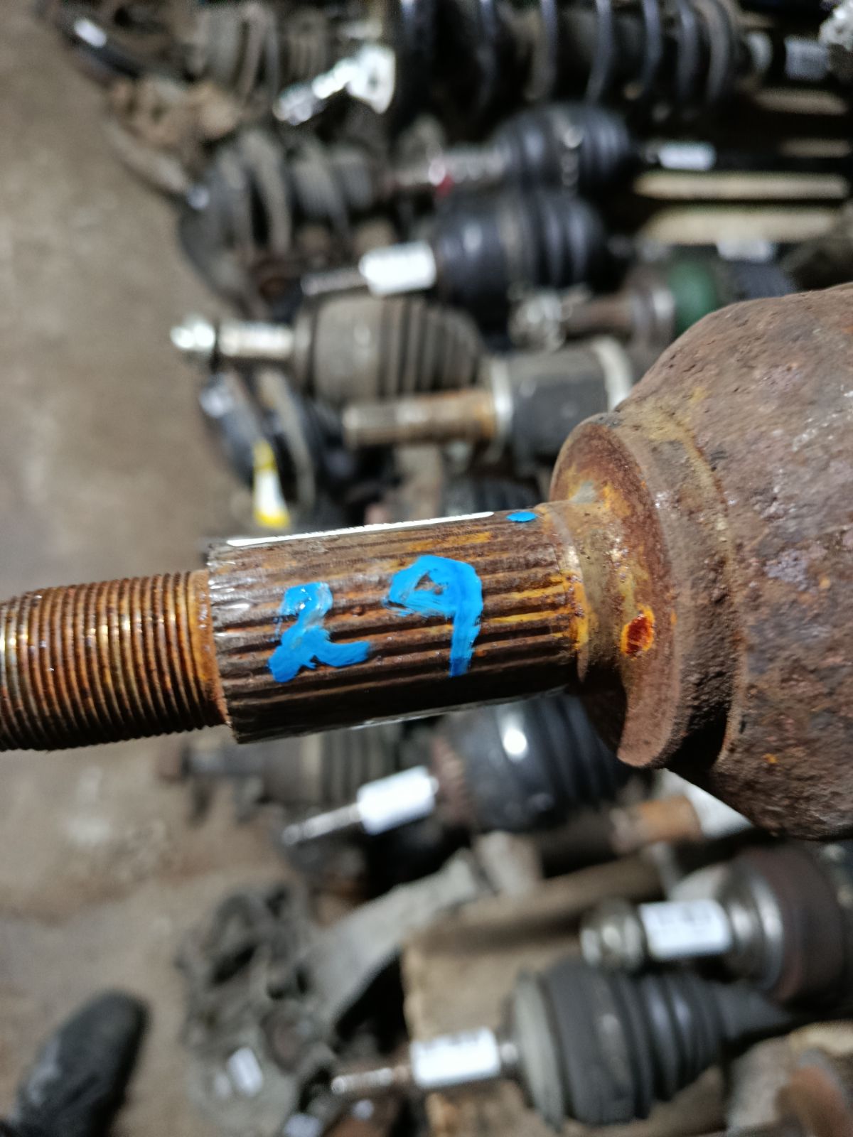 Привод на Nissan Dualis KNJ10 MR20DE Фото 2