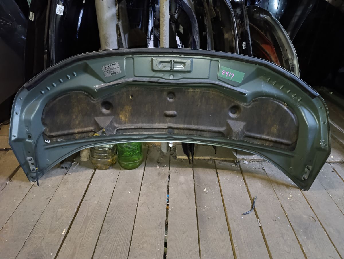 Капот 5900A202 на Mitsubishi Delica D:5 CV5W Фото 10