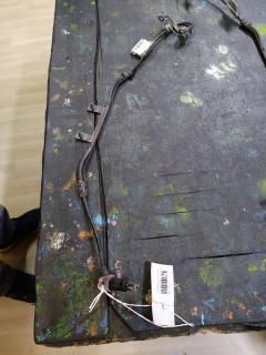 Датчик ABS на Nissan Presage U30 KA24DE Фото 2