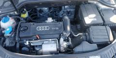 Решетка под лобовое стекло на Audi A3 8P Фото 4