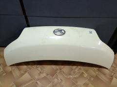 Капот на Daihatsu Tanto LA600S Фото 4