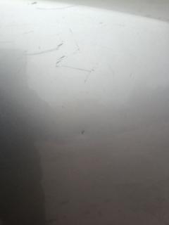 Капот F5100 WA0MM на Nissan Expert VW11 Фото 6