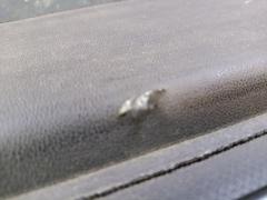 Шторка багажника 16981002209E06 на Mercedes-Benz B-Class T245.232 Фото 4