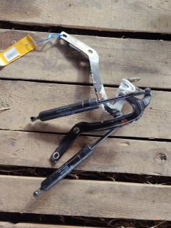 Амортизатор двери A0019808064 на Mercedes-Benz E-Class Station Wagon S210.265 Фото 3