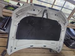 Капот 8K0823029D на Audi A4 8K Фото 4