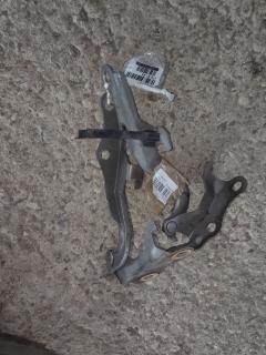 Крепление капота 53410-13010, 53420-13010 на Toyota Corolla Spacio ZZE122N Фото 3