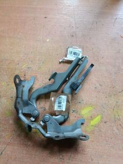 Крепление капота 53410-13010, 53420-13010 на Toyota Corolla Spacio ZZE122N Фото 4