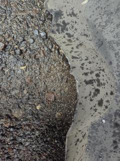 Бампер на Honda Inspire UC1 Фото 13